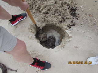 Bellona graver etter olje på en strand i Florida i 2015.
