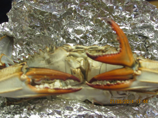 deformert krabbe